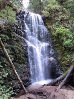 Berry Creek Falls in Big Basin Redwood State Park